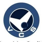 Vcs Group