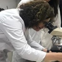 Lourdes Humanes Martin