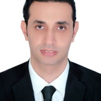 Rizk Mansour