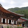 건강하게살자