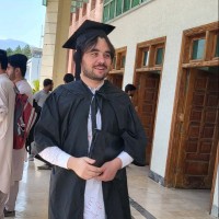 Mohammad Idrees