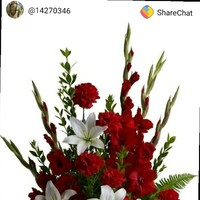 Sivanandam Alagarsamy