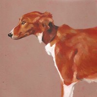 Rachael Ryder-Otridge