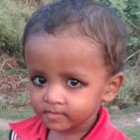 Md Nisar