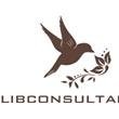 LIB CONSULTANCY
