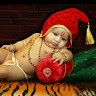 Rakesh R Yadav