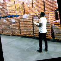 Pedro Martins Martins