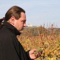 Pavel Svoboda - vino