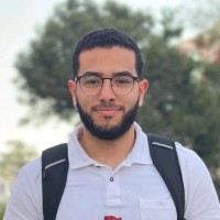 Hamza Ayari