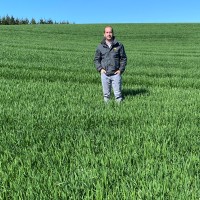 Rodrigo Cardemil Morrison