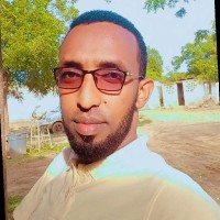 Hassan Ali