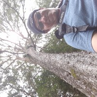 Aristoteles Almengor