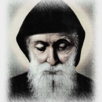 Bekous David