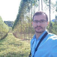 José Rocha