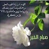 Hassan Badawi