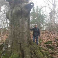 Dick Van Kampen
