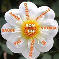 Gelson silva