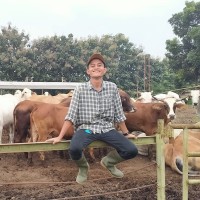 Muhammad Humaidi Haris