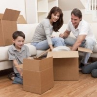 Malik Packer And Mover