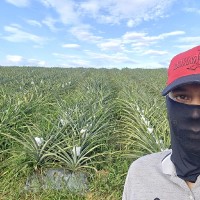 Wan Mohamad Helmi Wan Mohamad