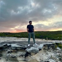 Hamza Jamil
