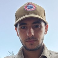 Hesam Salari