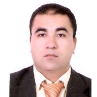 Amer Ragheb Abdel Aziz
