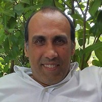 Rui Pires