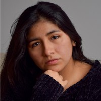 Fabiana Palomares Valvas