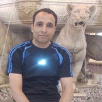 Sayed Abdelghani