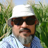 Ayman Hassan