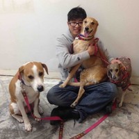 Danny Kim