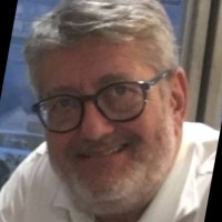 Mauro L. Fassi