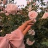 Randa Achour