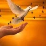 Geetha Vijay