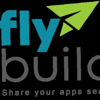 fly builds