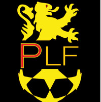 Premier League Futsal