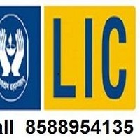 Lic Agent