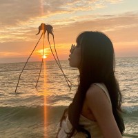Kim Anh