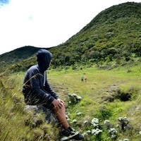 Alvian Maulana