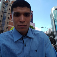 Marcelo Alves De Araujo Vieira