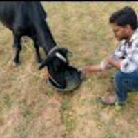 Ramireddy Papana