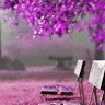 نعيمة البركاني