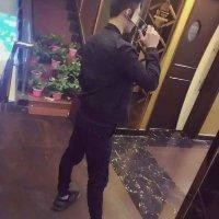 秦振洋