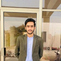 Syed Hasnain Gillani