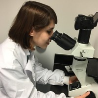 Elisa Panada