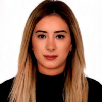 Özge Doğan Akyildiz