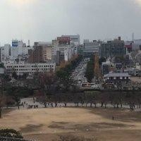 蒋少杰