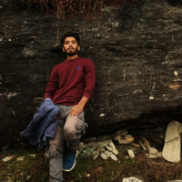 Ravinder Dhull