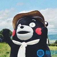 魏硕彤